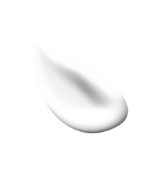 FL069